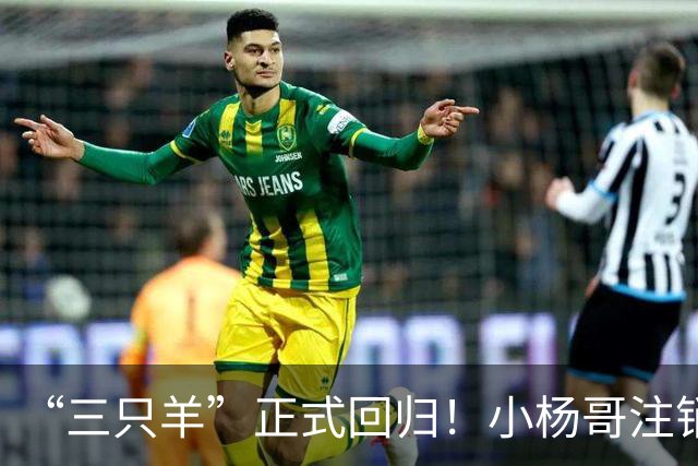 “三只羊”正式回归！小杨哥注销过亿粉丝d音账号，再注册新号发声明。