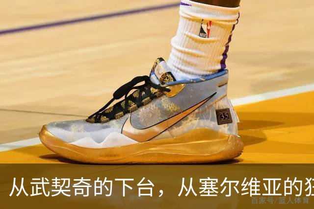 从武契奇的下台，从塞尔维亚的狂欢，来分析中国网友的眼界和素养