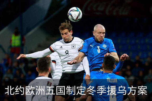 北约欧洲五国制定冬季援乌方案