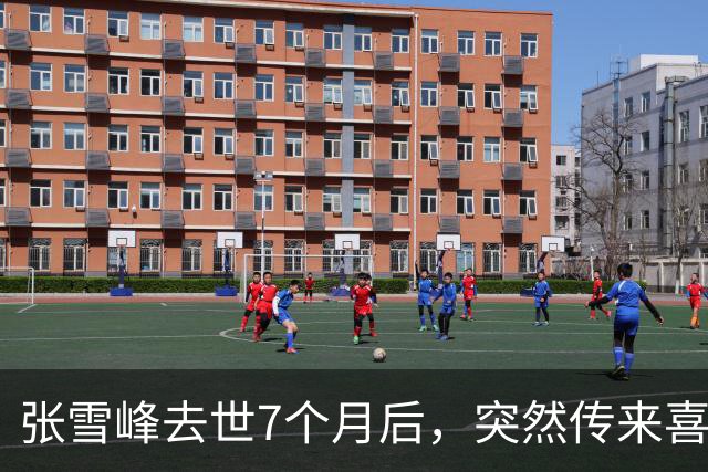 张雪峰去世7个月后，突然传来喜讯，原来他临走前还留下“礼物”
