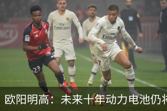 欧阳明高：未来十年动力电池仍将以磷酸铁锂为主，半固态电池不能与全固态混为一谈
