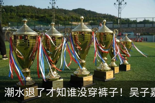 潮水退了才知谁没穿裤子！吴子嘉狠酸：沈伯洋就是一个小丑