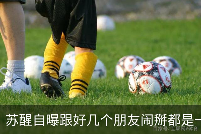 苏醒自曝跟好几个朋友闹掰都是一个原因：“借我钱没还”