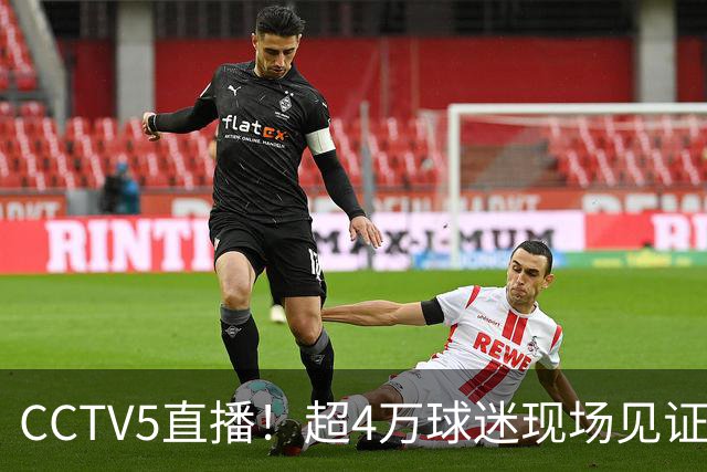 CCTV5直播！超4万球迷现场见证，成都蓉城再迎“冠军点”，夺冠=中超现役第五
